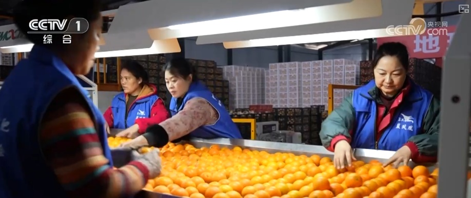 专家谈·“十五五”规划纲要新在何处？