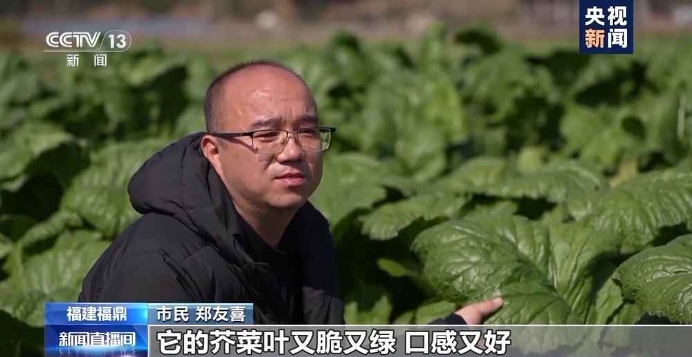 时令春菜上桌 一席春色暖人间 时令春菜上桌 一席春色暖人间