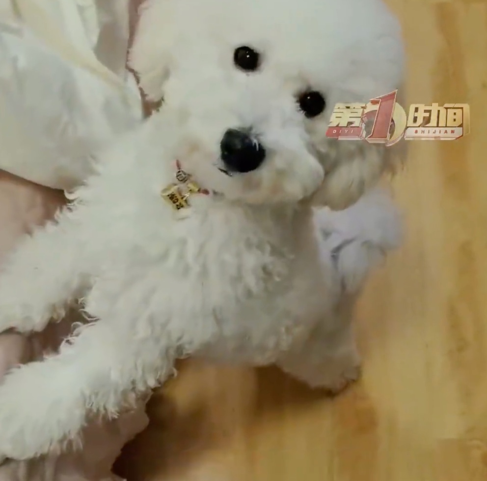 “我有鼻炎闻不到焦味!”卧室突然起火,狗狗狂叫!男子这才发现... “我有鼻炎闻不到焦味!”卧室突然起火,狗狗狂叫!男子这才发现...