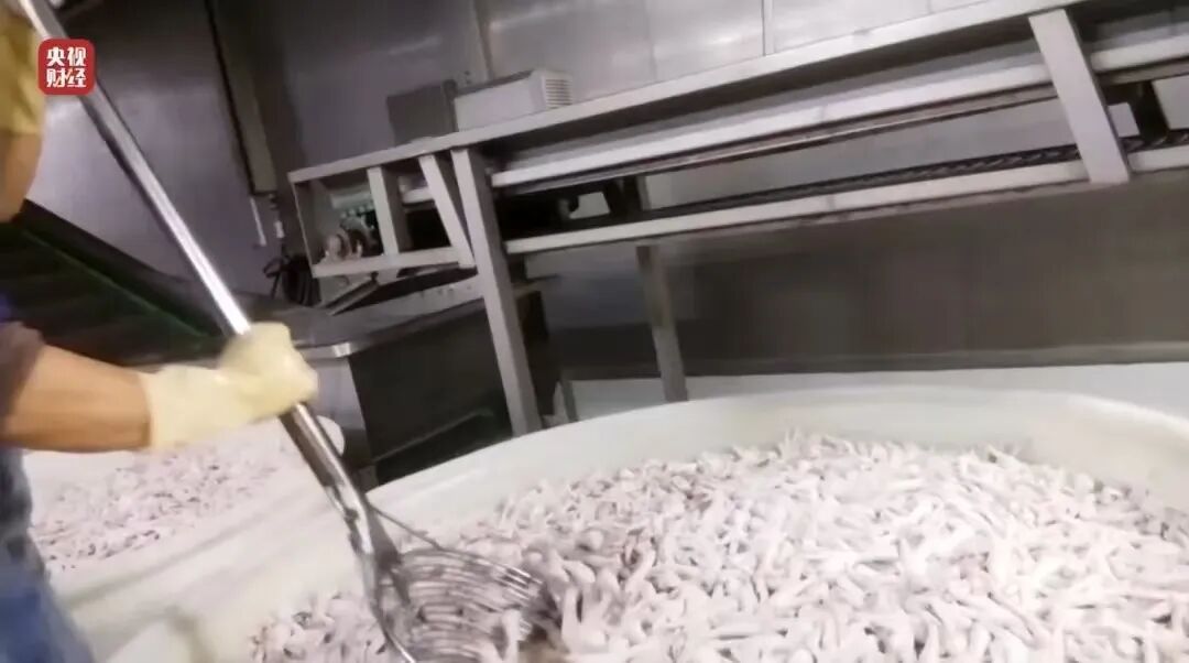 工人自己从来不吃!仅15元1斤,白净饱满非常好卖!长期食用损害肝肾功能 工人自己从来不吃!仅15元1斤,白净饱满非常好卖!长期食用损害肝肾功能