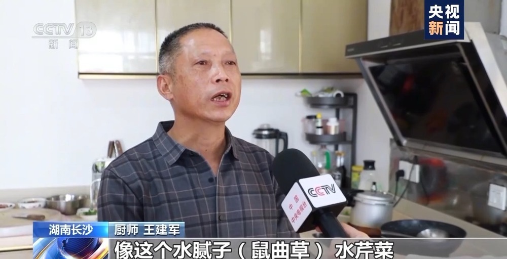 时令春菜上桌 一席春色暖人间 时令春菜上桌 一席春色暖人间