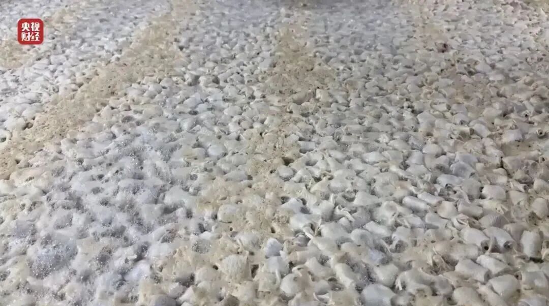 “漂白鸡爪”曝光!被踩了继续用,员工自己从来不吃 “漂白鸡爪”曝光!被踩了继续用,员工自己从来不吃