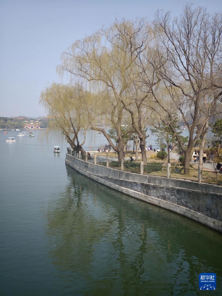 北海公园春色美 北海公园春色美