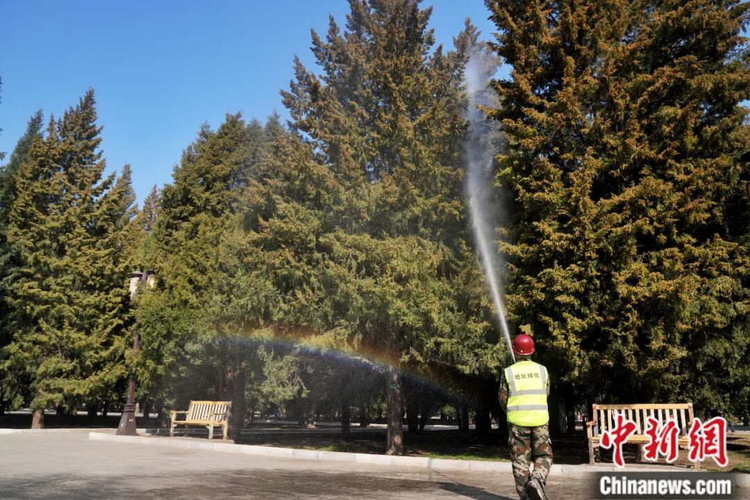 花粉季来袭,如何破解春日里的健康考题? 花粉季来袭,如何破解春日里的健康考题?