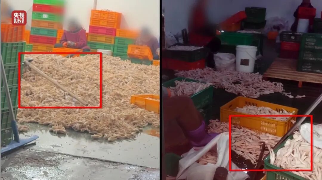央视曝光漂白鸡爪:生产车间令人作呕,有毒的双氧水随便用! 央视曝光漂白鸡爪:生产车间令人作呕,有毒的双氧水随便用!