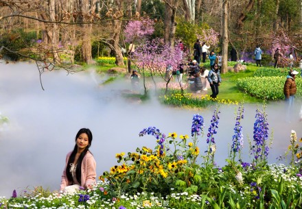 春日限定！春季花展在南京中山植物园启幕