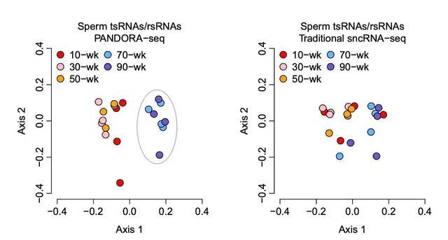超过这个年龄，精子会断崖式衰老，且会传给下一代！