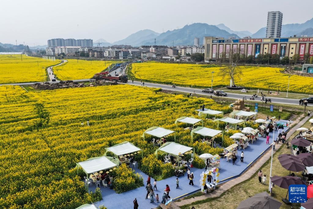 浙江建德:“以花为媒”释放“春日经济”消费新活力 浙江建德:“以花为媒”释放“春日经济”消费新活力