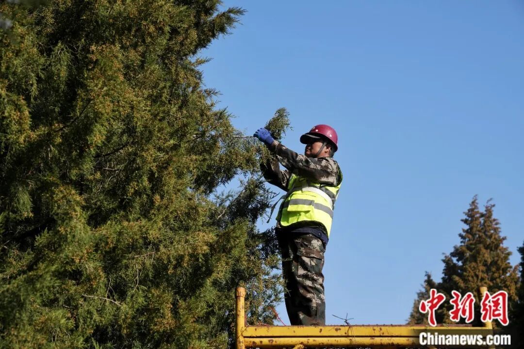 花粉季来袭,如何破解春日里的健康考题? 花粉季来袭,如何破解春日里的健康考题?