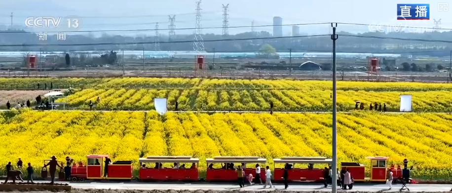 赏春又“留”春体验感拉满 美丽经济“一路生花”绽放勃勃生机 赏春又“留”春体验感拉满 美丽经济“一路生花”绽放勃勃生机