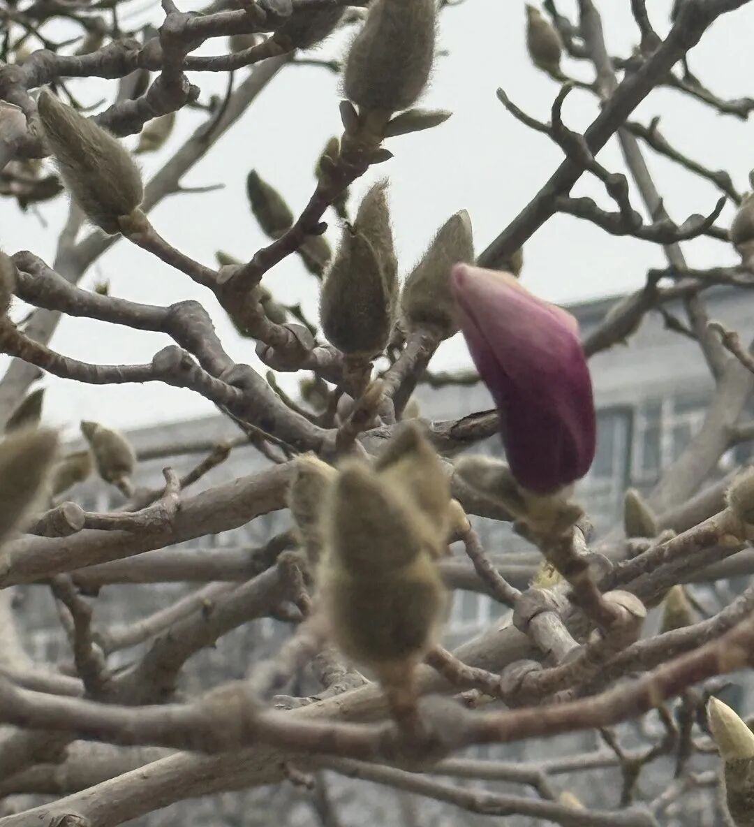 春季气温波动大!老人、孩子、体质虚弱的人群注意了!务必做好这四点—— 春季气温波动大!老人、孩子、体质虚弱的人群注意了!务必做好这四点——