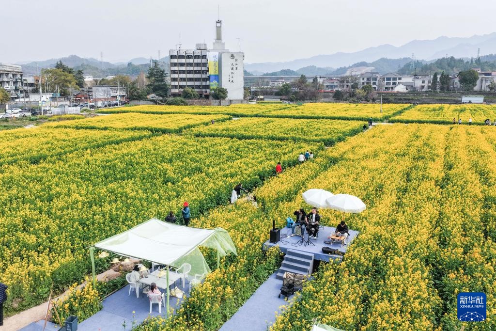 浙江建德:“以花为媒”释放“春日经济”消费新活力 浙江建德:“以花为媒”释放“春日经济”消费新活力