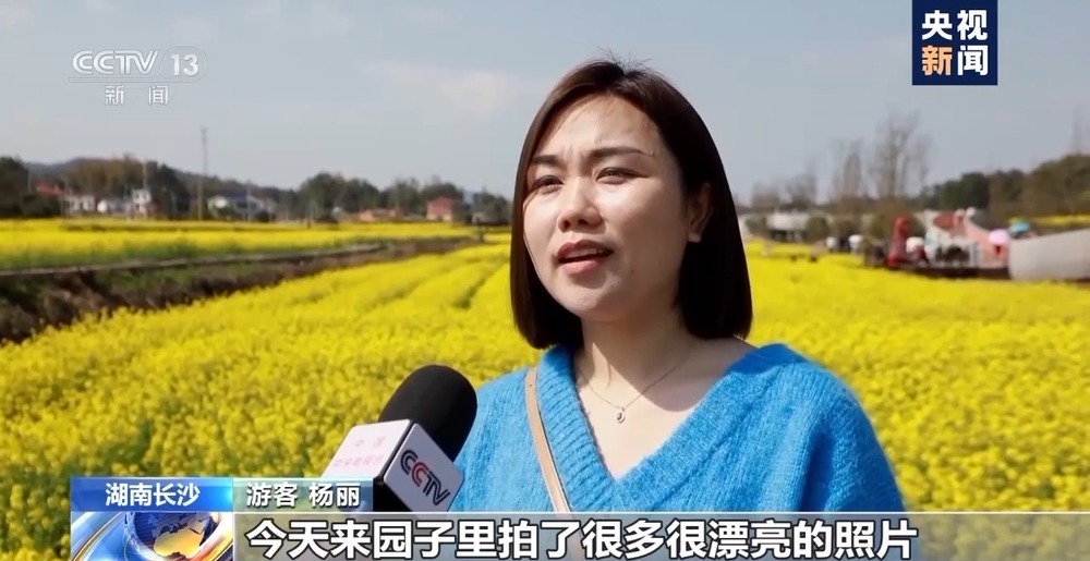 时令春菜上桌 一席春色暖人间 时令春菜上桌 一席春色暖人间