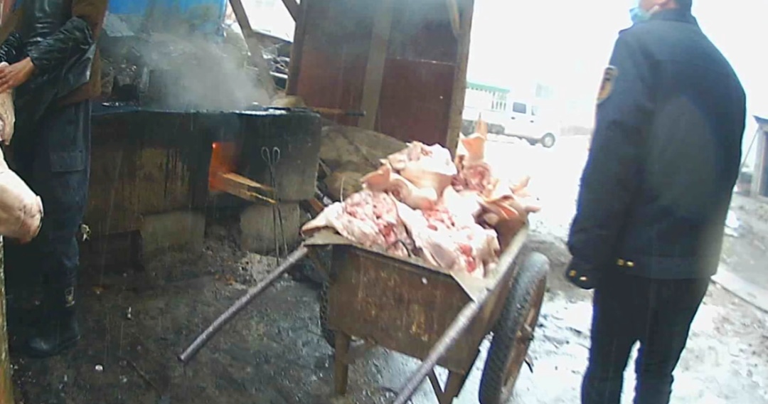 用工业松香给猪头肉“美容”?贵州盘州查获5800余斤,涉案20余万,市监公安联合查处 用工业松香给猪头肉“美容”?贵州盘州查获5800余斤,涉案20余万,市监公安联合查处