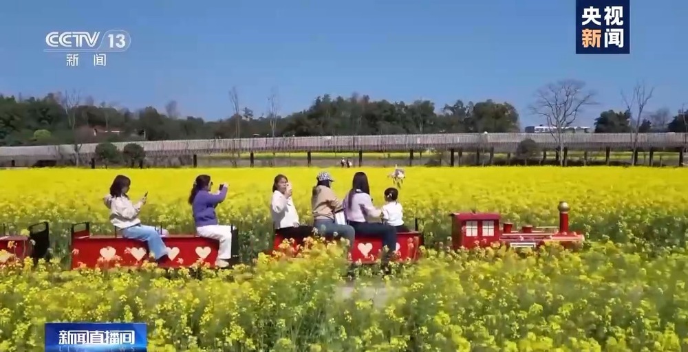 时令春菜上桌 一席春色暖人间 时令春菜上桌 一席春色暖人间