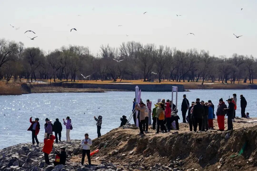 候鸟翩跹！来赴京城“生态之约”