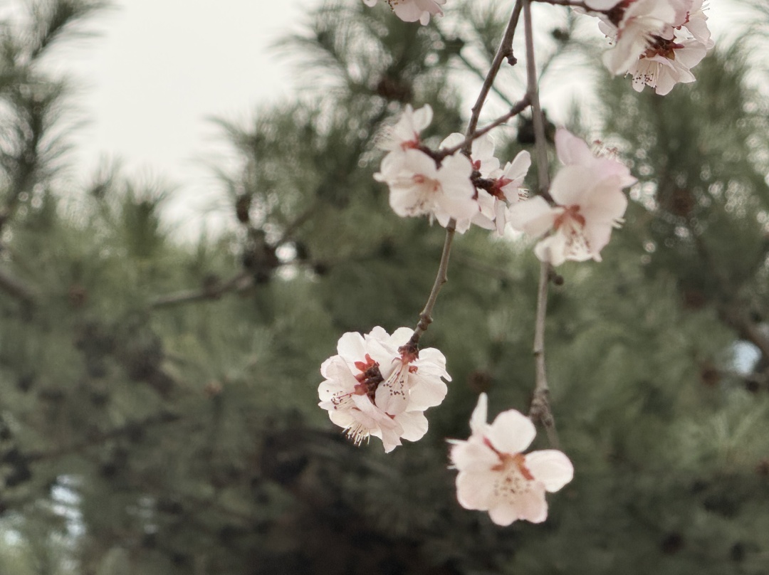 春季气温波动大!老人、孩子、体质虚弱的人群注意了!务必做好这四点—— 春季气温波动大!老人、孩子、体质虚弱的人群注意了!务必做好这四点——