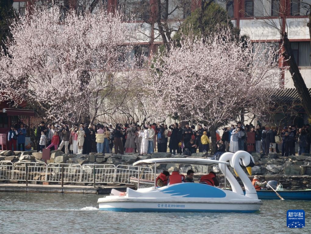 北海公园春色美 北海公园春色美