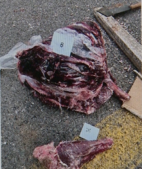 北京一男子猎捕野生动物被判刑