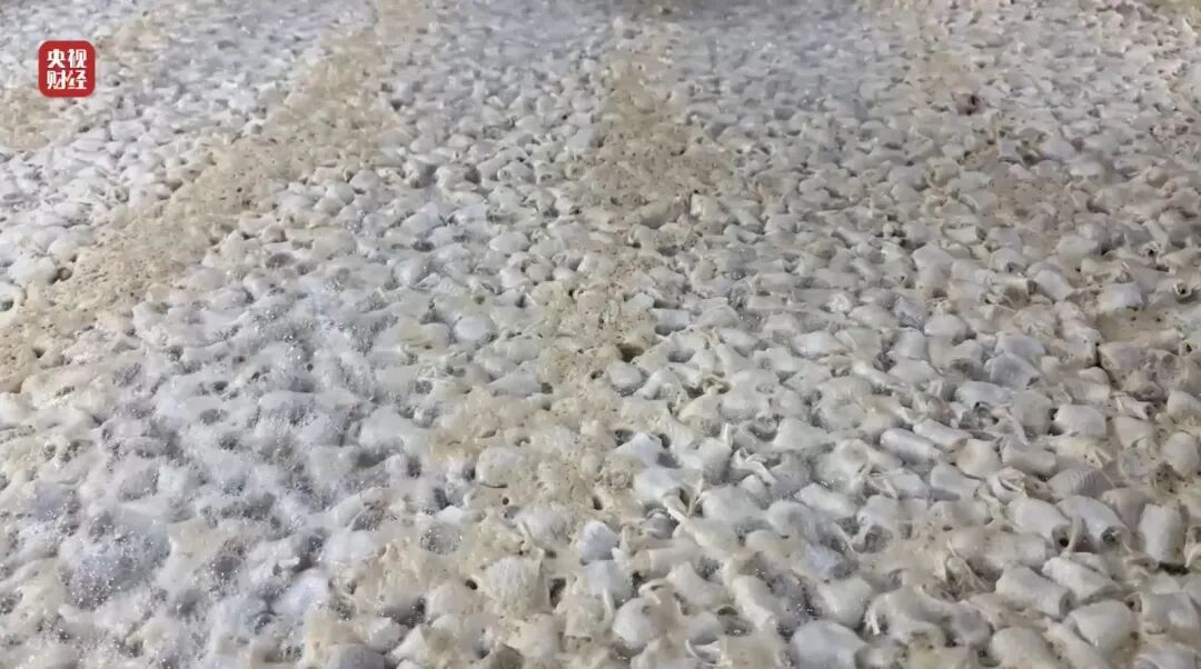 曝光！你爱啃的鸡爪可能“有毒”