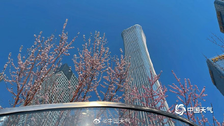 北京CBD高楼邂逅桃花