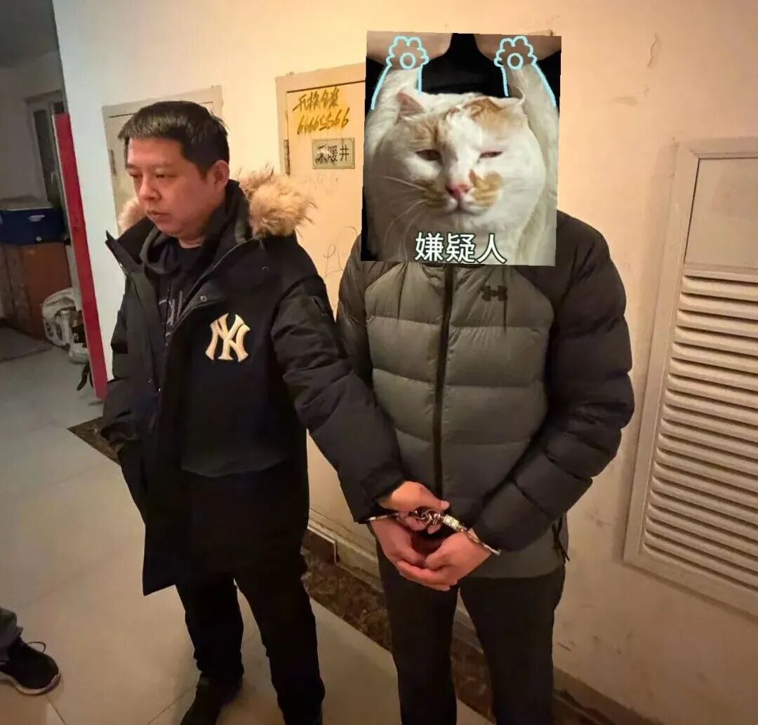 “真命天子”竟是诈骗犯!滨城警方奔赴天津,10人全部落网 “真命天子”竟是诈骗犯!滨城警方奔赴天津,10人全部落网