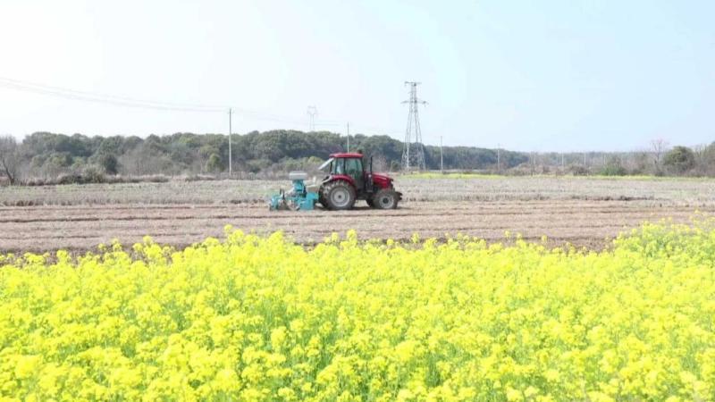 江西南昌:推广水稻“旱播”新机具 春耕节水又增效 江西南昌:推广水稻“旱播”新机具 春耕节水又增效