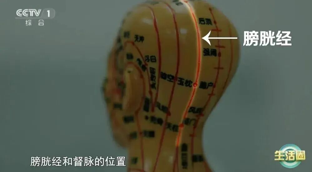 白发长在哪,病就从哪来? 但这种情况的白发或可降低肿瘤风险? 4招拥有一头秀发