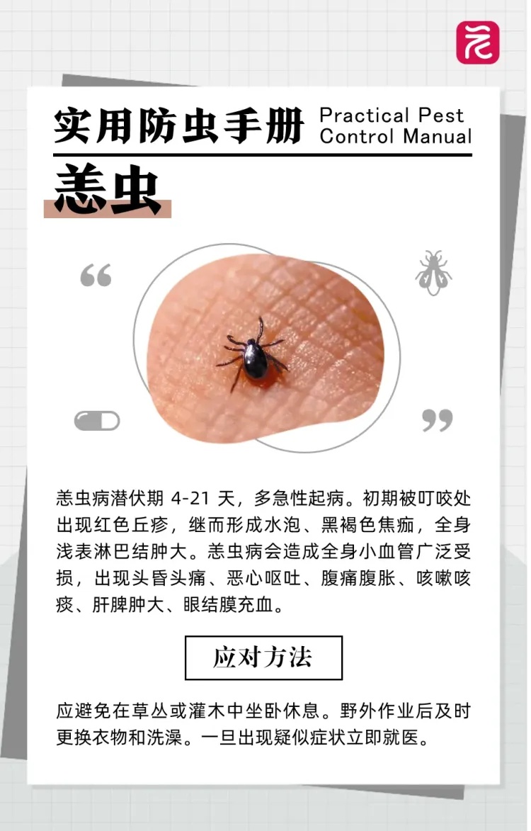 澳门通报:今年首例恙虫病疑似病例,患者曾到江门露营 澳门通报:今年首例恙虫病疑似病例,患者曾到江门露营