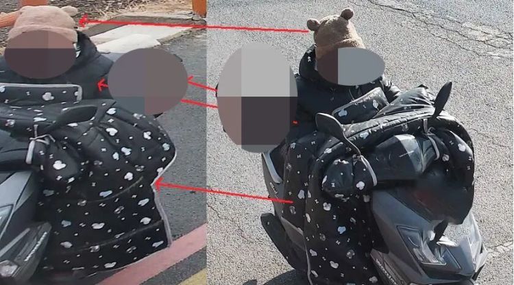 现实版“熊出没”!淄博警方快速破获一起电缆盗窃案 现实版“熊出没”!淄博警方快速破获一起电缆盗窃案