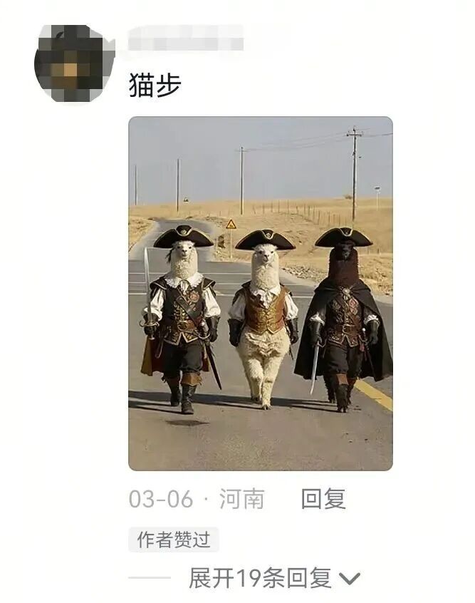 游客在新疆偶遇羊驼“三剑客”！评论区热闹了