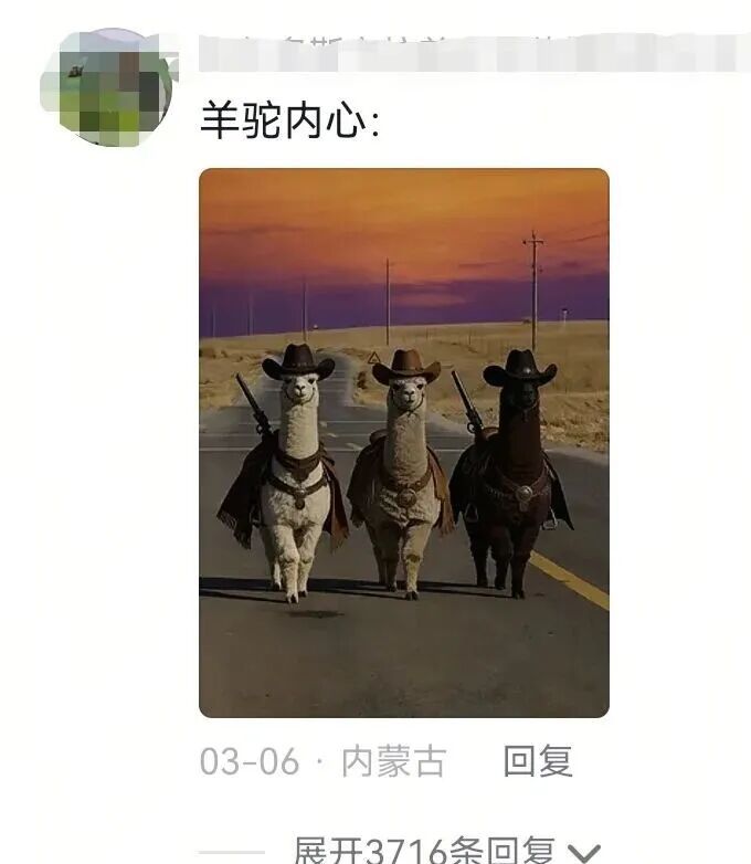 游客在新疆偶遇羊驼“三剑客”！评论区热闹了