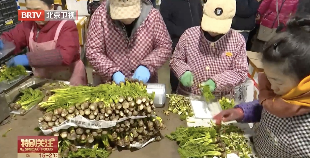 香椿大降价!东北刺老芽进京,“春菜”尝鲜千万注意这几点—— 香椿大降价!东北刺老芽进京,“春菜”尝鲜千万注意这几点——