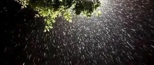 小雪+雨夹雪+降温!厚衣服别收,河北未来三天…… 小雪+雨夹雪+降温!厚衣服别收,河北未来三天……