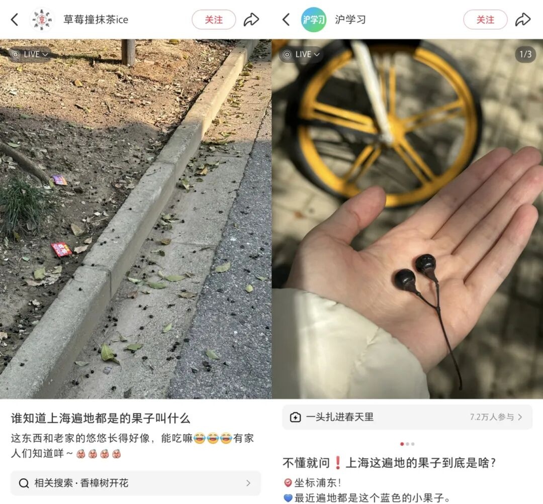 不要捏！不要踩！上海街头小区正大量出现 不少人已中招