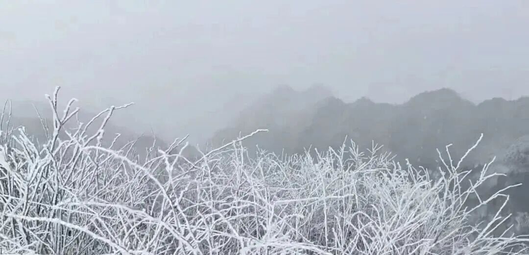 昨日下雪了!重庆今起3天开启“湿冷模式”,这些地方有阵雨→ 昨日下雪了!重庆今起3天开启“湿冷模式”,这些地方有阵雨→