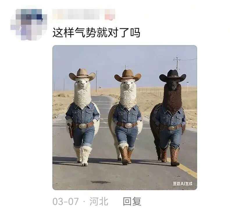 游客在新疆偶遇羊驼“三剑客”！评论区热闹了