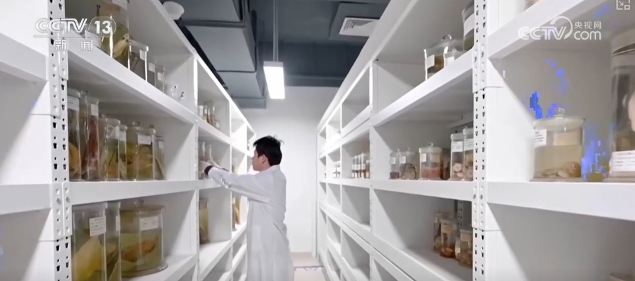 突破!耕海牧渔为“蓝色粮仓”强“芯” 筑牢“海洋经济”根基 突破!耕海牧渔为“蓝色粮仓”强“芯” 筑牢“海洋经济”根基