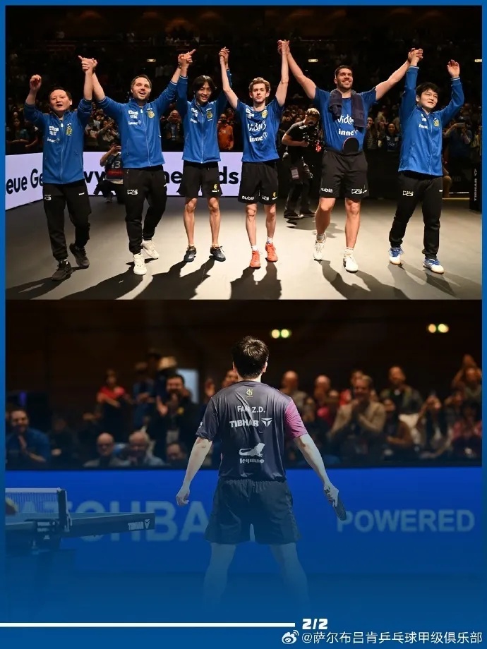 樊振东回应转会：将离开萨尔布吕肯，加盟杜塞尔多夫