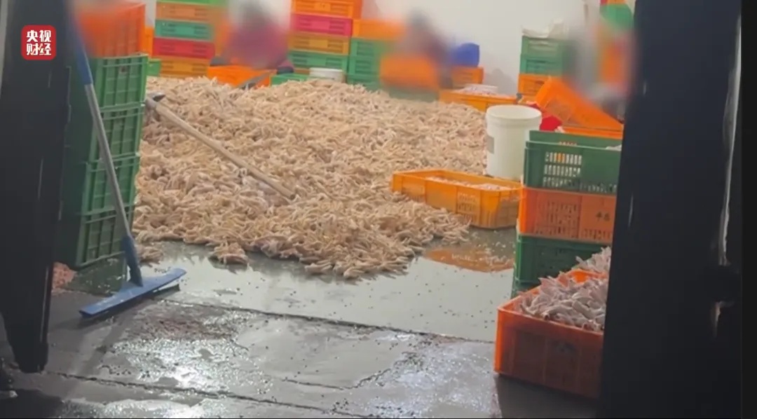 都在这儿了!“3·15晚会”曝光名单全记录 都在这儿了!“3·15晚会”曝光名单全记录