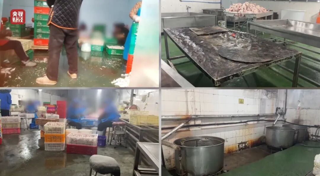 黑心！用有毒双氧水漂白鸡爪！生产车间令人作呕，工人：我根本不敢吃