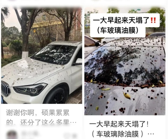 不要捏！不要踩！上海街头小区正大量出现 不少人已中招