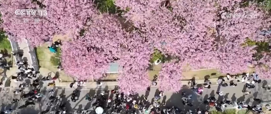 百姓“家门口”尽享春日惬意 感受别样“诗与远方” 百姓“家门口”尽享春日惬意 感受别样“诗与远方”