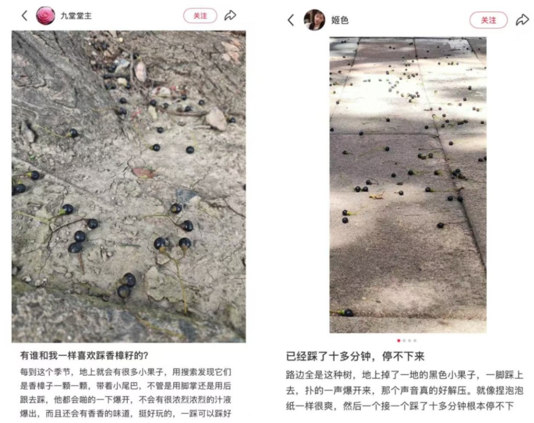 不要捏！不要踩！上海街头小区正大量出现 不少人已中招