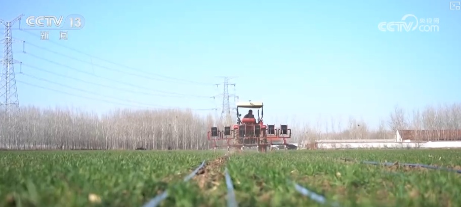 构建“监测预警+技术服务+物资保障”三重防线保障夏粮稳产丰产 构建“监测预警+技术服务+物资保障”三重防线保障夏粮稳产丰产