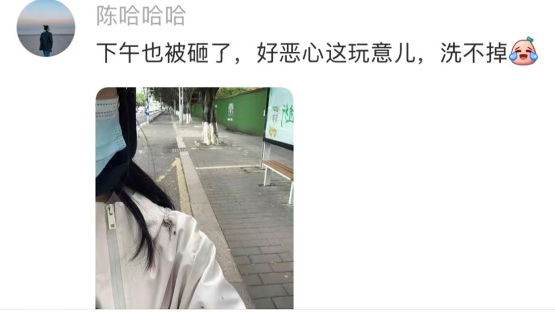 不要捏！不要踩！上海街头小区正大量出现 不少人已中招