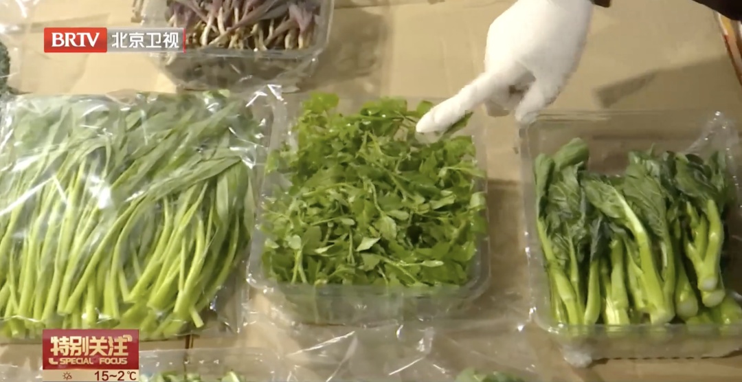 香椿大降价!东北刺老芽进京,“春菜”尝鲜千万注意这几点—— 香椿大降价!东北刺老芽进京,“春菜”尝鲜千万注意这几点——