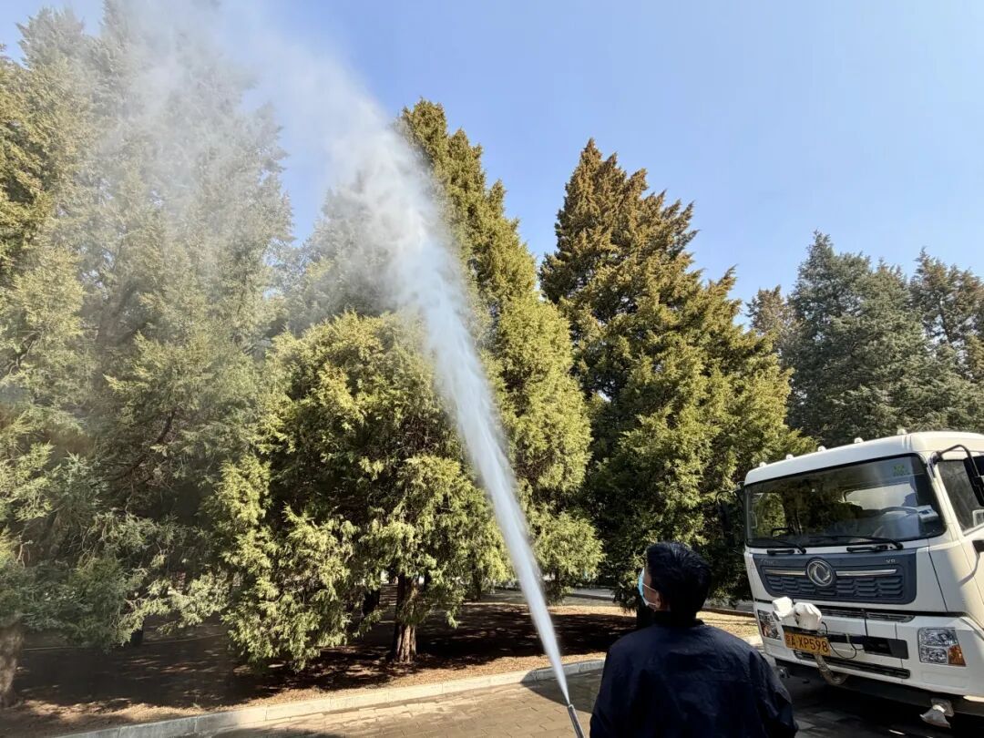 致敏花粉高发期到来！今年防治有“妙招”——