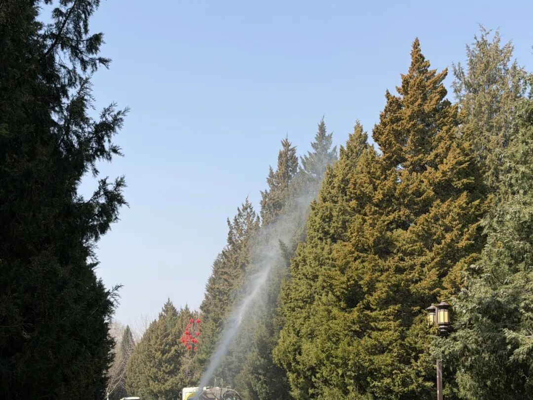 致敏花粉高发期到来！今年防治有“妙招”——