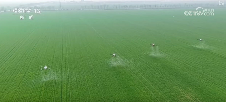 构建“监测预警+技术服务+物资保障”三重防线保障夏粮稳产丰产 构建“监测预警+技术服务+物资保障”三重防线保障夏粮稳产丰产